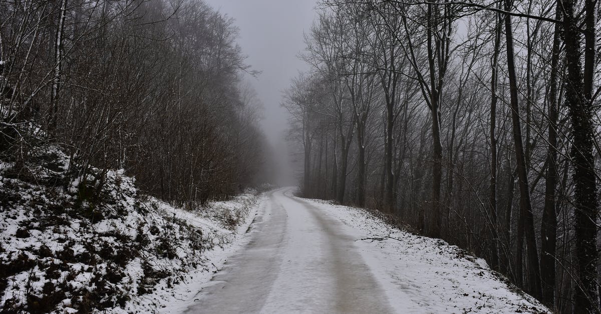 Has anyone had experience with Air China overnight layover at Shanghai? - Snow Covered Road Between Bare Trees Has anyone had experience with Air China overnight layover at Shanghai? - Snow Covered Road Between Bare Trees