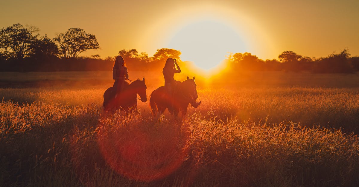 Height and weight issues for riding animals in Mongolia - Silhouette Photo of Two Persons Riding Horses Height and weight issues for riding animals in Mongolia - Silhouette Photo of Two Persons Riding Horses