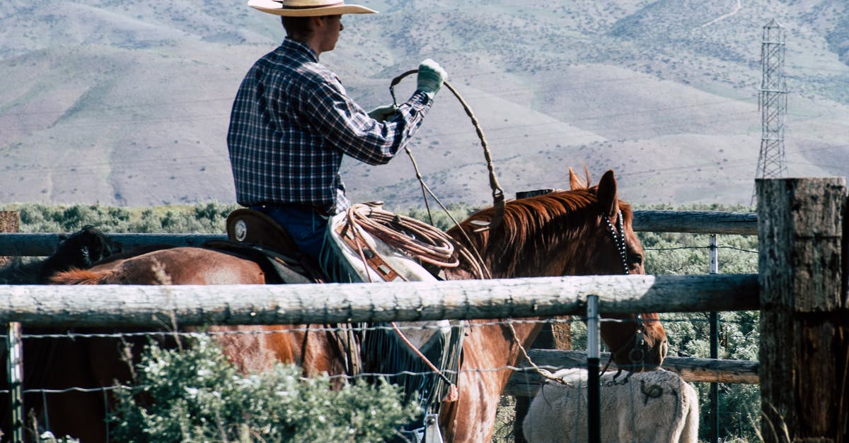 Height and weight issues for riding animals in Mongolia - Photography of a Person Riding Horse Height and weight issues for riding animals in Mongolia - Photography of a Person Riding Horse