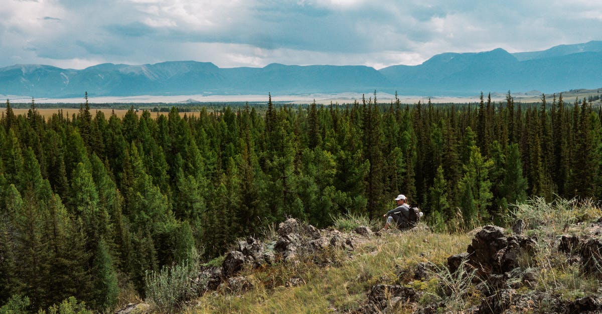 Hiking in the area around Quebec City - Person Sitting on Rocks Near Green Trees Hiking in the area around Quebec City - Person Sitting on Rocks Near Green Trees