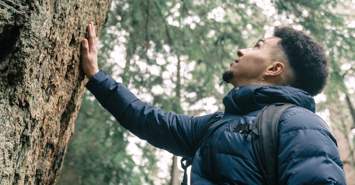 hiking trails near by Salzburg and Linz [closed] - Man in Blue Bubble Jacket Standing Beside Tree