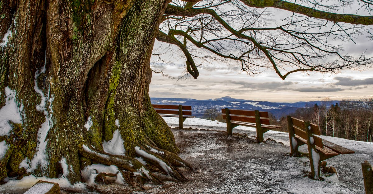 Hiking/nature around Lyon - Picturesque view from top of hill with thick trunk of big leafless tree and wooden benches on blue faraway lowland under cloudy sky in evening Hiking/nature around Lyon - Picturesque view from top of hill with thick trunk of big leafless tree and wooden benches on blue faraway lowland under cloudy sky in evening