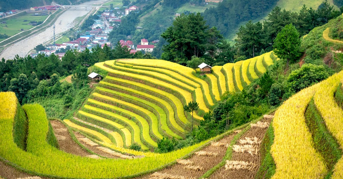 Hill-top villages to escape the heat south of Florence - Green Grass Field Hill-top villages to escape the heat south of Florence - Green Grass Field