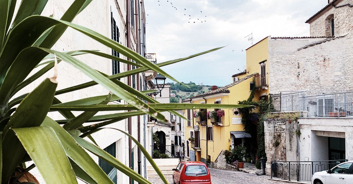 Hiring a Ferrari in Italy - Red Car Parked Beside Green Banana Tree Hiring a Ferrari in Italy - Red Car Parked Beside Green Banana Tree