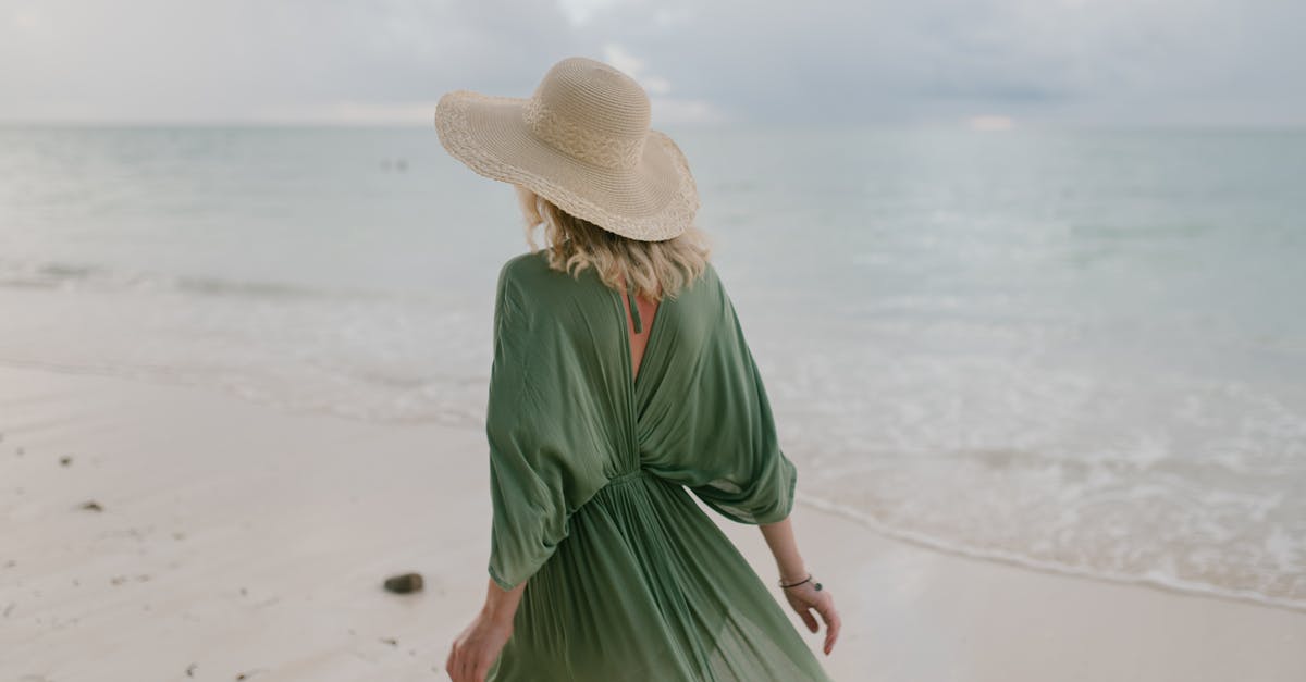 Holiday in Canada- Tourist Visa with Austrian Citizenship - Back view of unrecognizable female tourist wearing straw hat and summer dress standing on seashore in cloudy day Holiday in Canada- Tourist Visa with Austrian Citizenship - Back view of unrecognizable female tourist wearing straw hat and summer dress standing on seashore in cloudy day