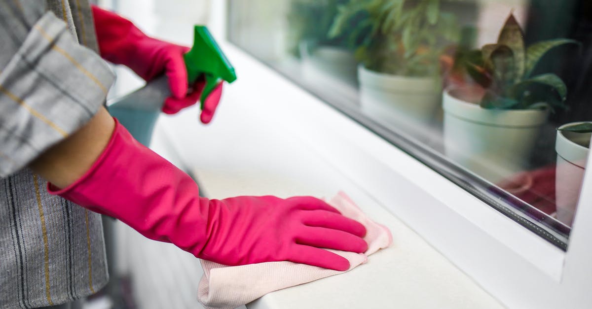 Housekeeping and tipping [closed] - Person in Red Long Sleeve Shirt Holding Green Plastic Tool