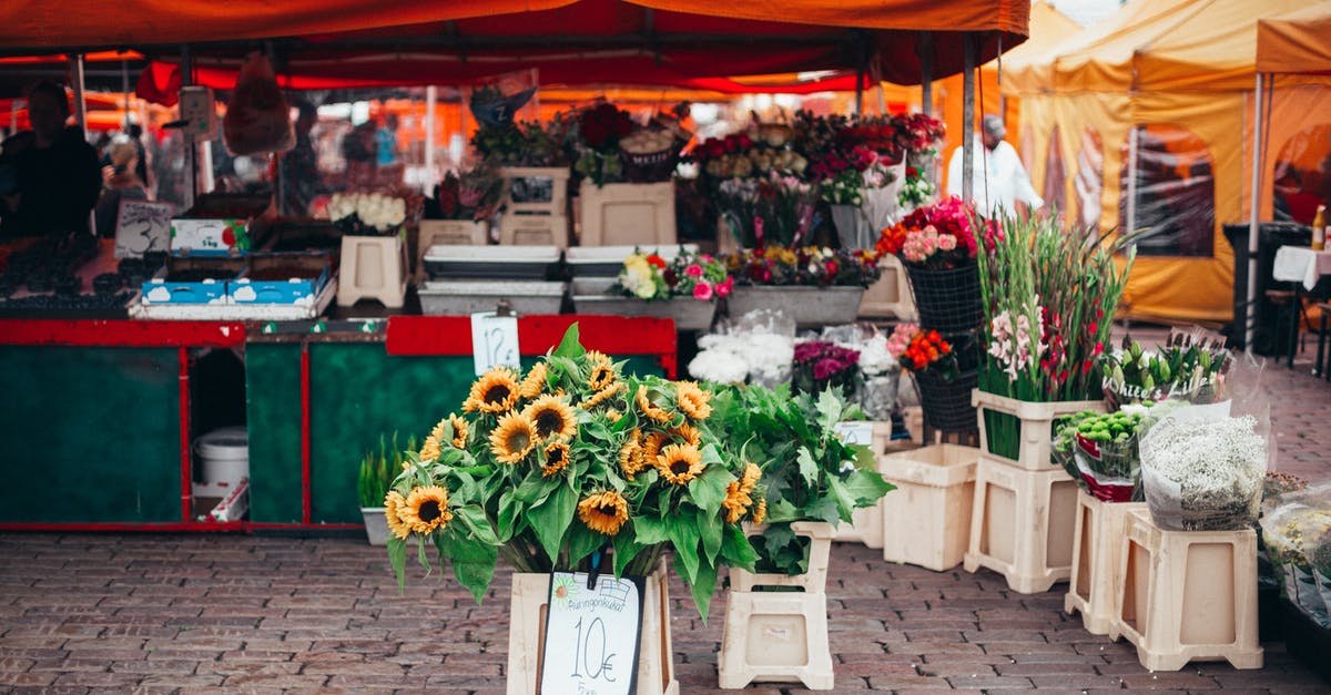 How and where do travel agents see much lower prices? - Sunflowers on Rack With Price Tag Near Orange Canopy Tent How and where do travel agents see much lower prices? - Sunflowers on Rack With Price Tag Near Orange Canopy Tent