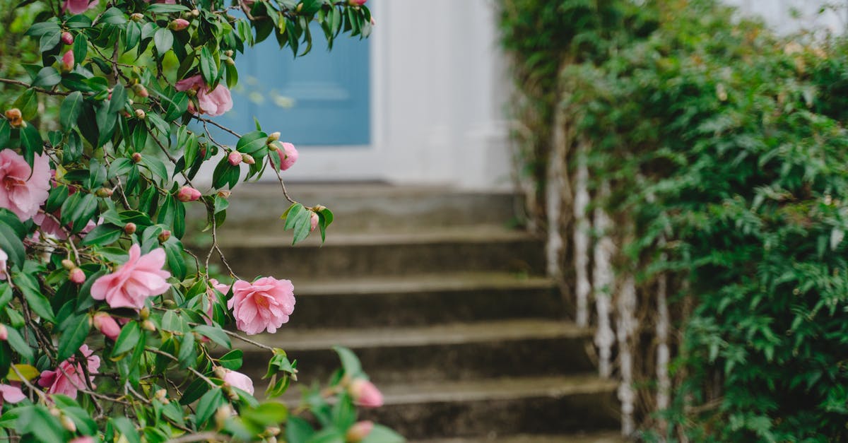 How are London zones calculated? - Pink Garden Roses in Bloom How are London zones calculated? - Pink Garden Roses in Bloom
