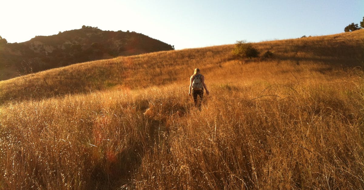 How are Scottish hiking trails marked? - Woman Walking on Brown Grass Field Under Blue and White Sky during Daytime How are Scottish hiking trails marked? - Woman Walking on Brown Grass Field Under Blue and White Sky during Daytime