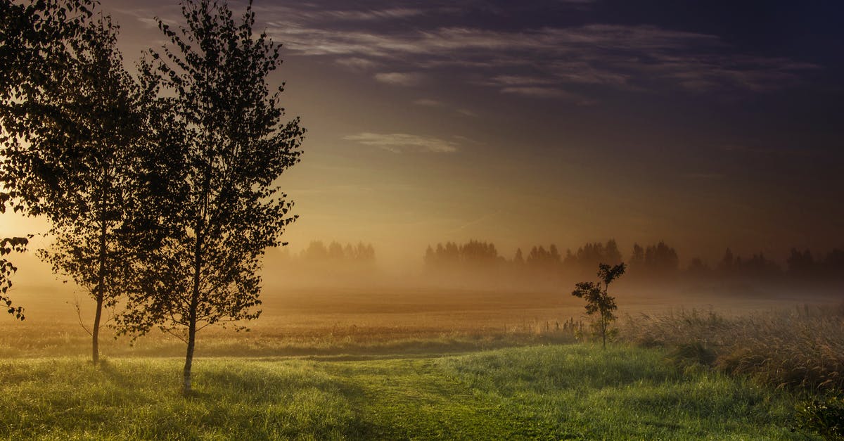 How are the weather and vegetation in Kyoto in November-December? [duplicate] - Landscape Photography Green Grass-field Beside Dark Foggy Forest during Golden Hour
