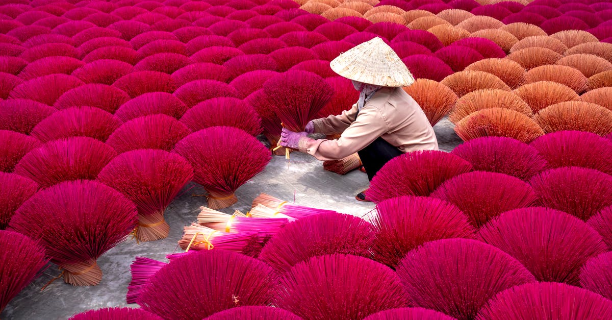 How can I attend an incense ceremony while I'm in Japan? - High angle of anonymous woman in traditional incense sticks sitting among rows of bright incense sticks in Vietnam village in daylight How can I attend an incense ceremony while I'm in Japan? - High angle of anonymous woman in traditional incense sticks sitting among rows of bright incense sticks in Vietnam village in daylight