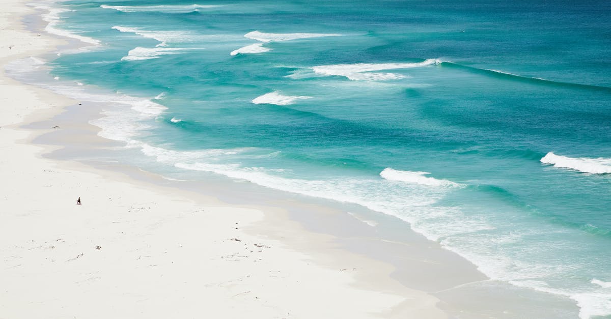 How can I choose a good destination to see whales, especially blue and humpback, preferably from a boat? - Waving foamy sea water near sandy shore How can I choose a good destination to see whales, especially blue and humpback, preferably from a boat? - Waving foamy sea water near sandy shore