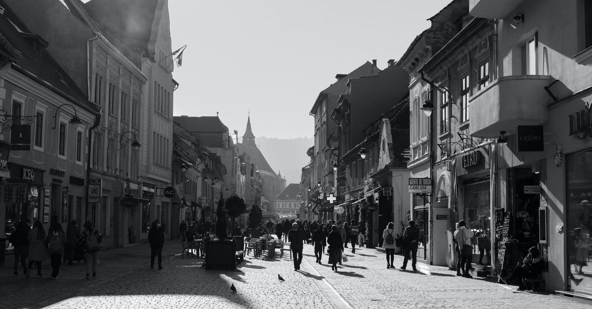 How can I find out all the stores in a particular street before going there? - People Walking on the Street Near Buildings in Grayscale Photography