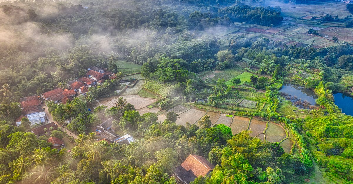 How can I know if a country allows drones? - Green Trees in High-angle Photo How can I know if a country allows drones? - Green Trees in High-angle Photo