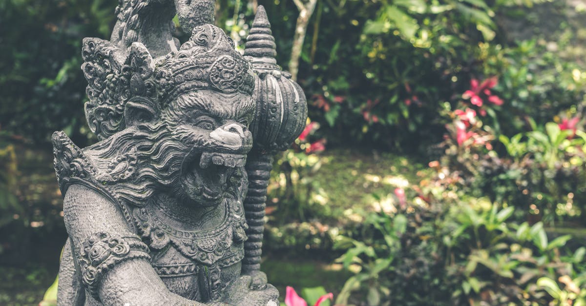 How can I make American airlines honor their travel voucher? - Close Up Photography Hindu Deity How can I make American airlines honor their travel voucher? - Close Up Photography Hindu Deity