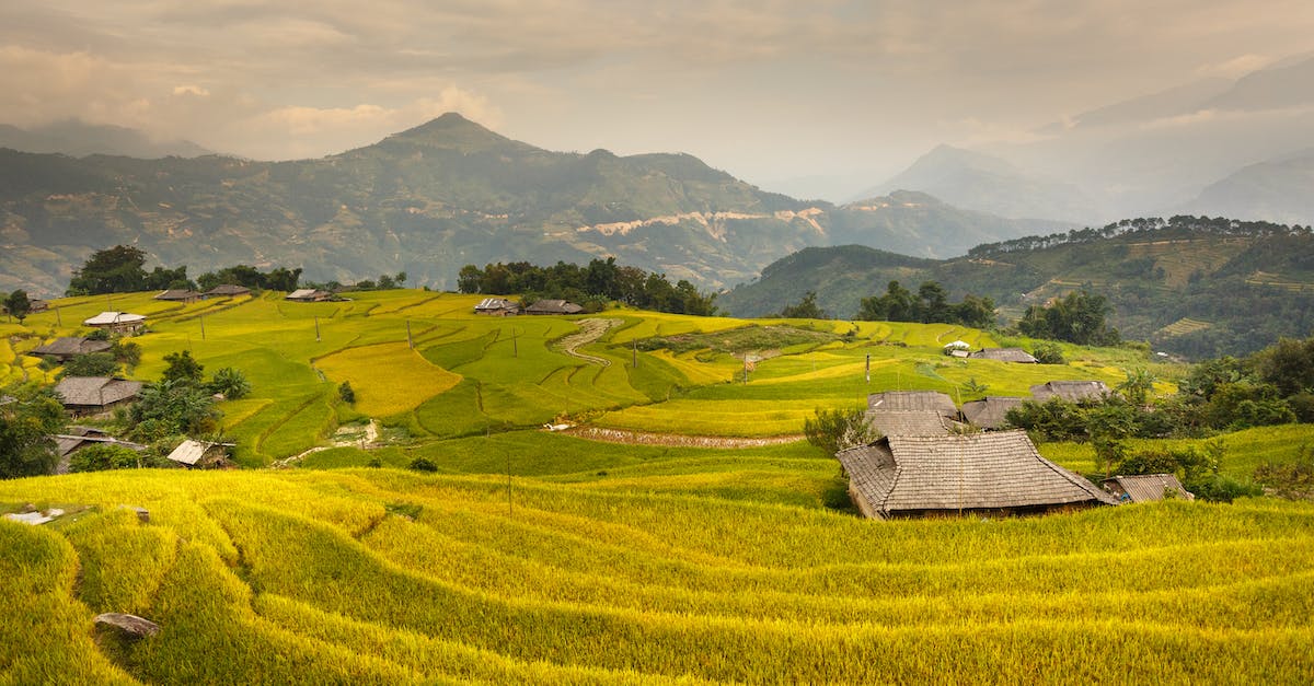 How can I maximize my chances of obtaining a Russian visa outside my home country? - Photo Of Rice Terraces During Daytime How can I maximize my chances of obtaining a Russian visa outside my home country? - Photo Of Rice Terraces During Daytime
