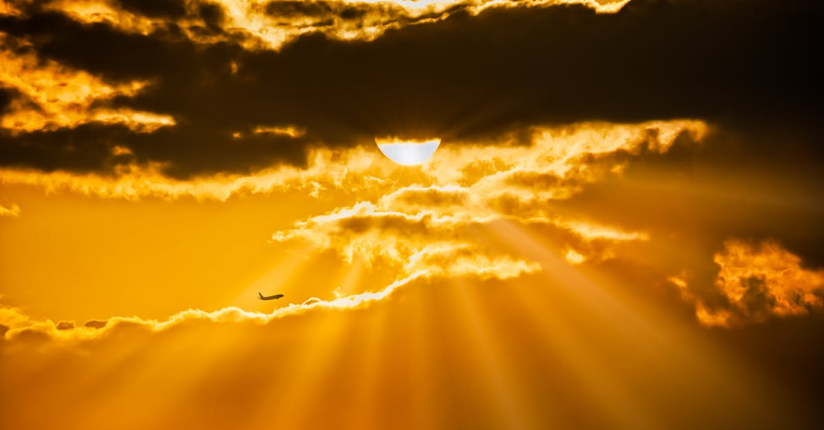 How can I prove that a flight was delayed by more than 4 hours? [duplicate] - Airplane Flying During Golden Hour
