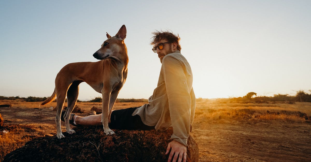 How can I register in IRCTC without ISD field when residing in INDIA - Photo of Man Sitting on Rock With His Brown Dog