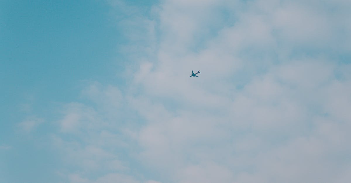 How can I tell if a flight itinerary is fake? - Airplane in Mid Air Under Blue Sky