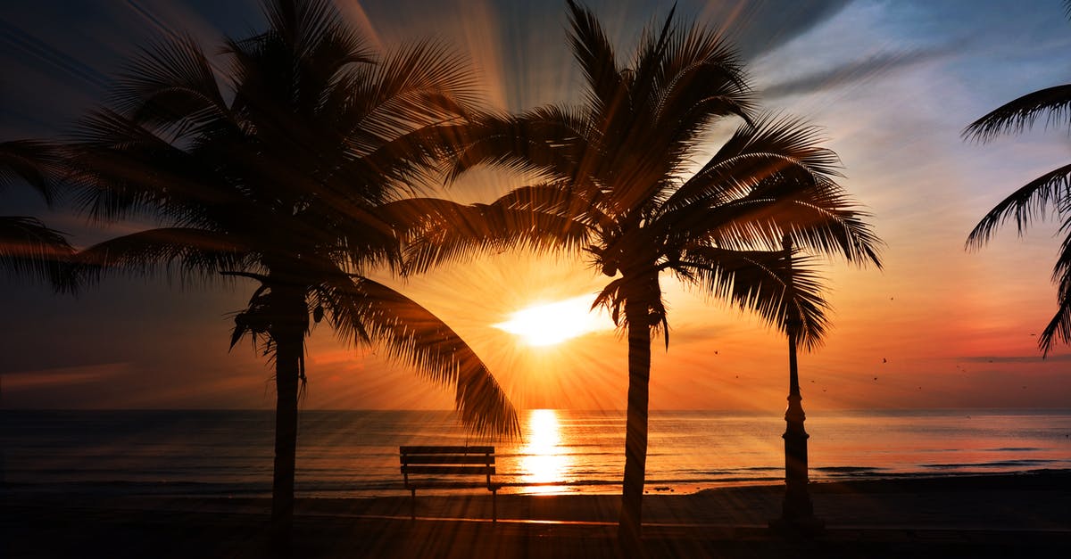 How can I travel to the Great Pacific garbage patch? - Silhouette of Trees How can I travel to the Great Pacific garbage patch? - Silhouette of Trees