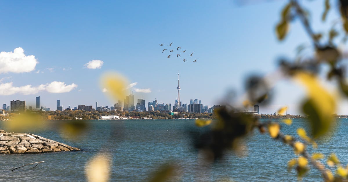 How can we travel to Canada with our maid? - Birds Flying Over the Lake How can we travel to Canada with our maid? - Birds Flying Over the Lake