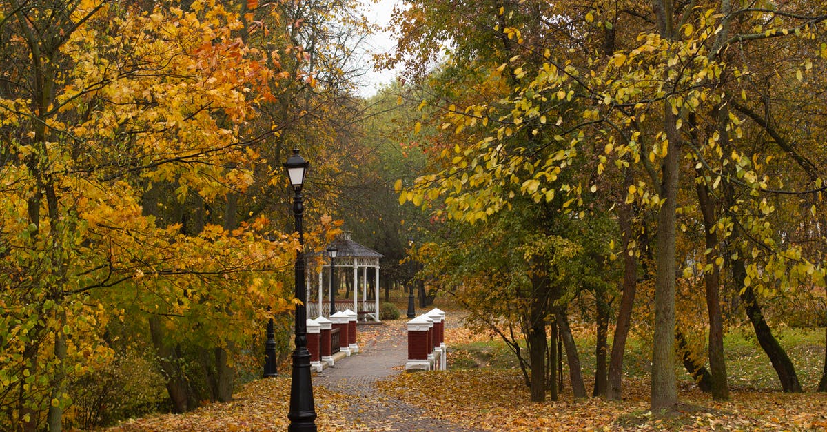 How common is public wifi in major cities in Israel? - Pathway in autumn park leading to public gazebo How common is public wifi in major cities in Israel? - Pathway in autumn park leading to public gazebo