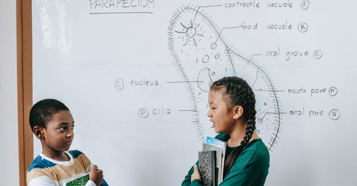 How do I answer UK visa question about other savings or income? - Side view of smart black little boy and Asian girl standing near whiteboard and answering question together during biology class How do I answer UK visa question about other savings or income? - Side view of smart black little boy and Asian girl standing near whiteboard and answering question together during biology class