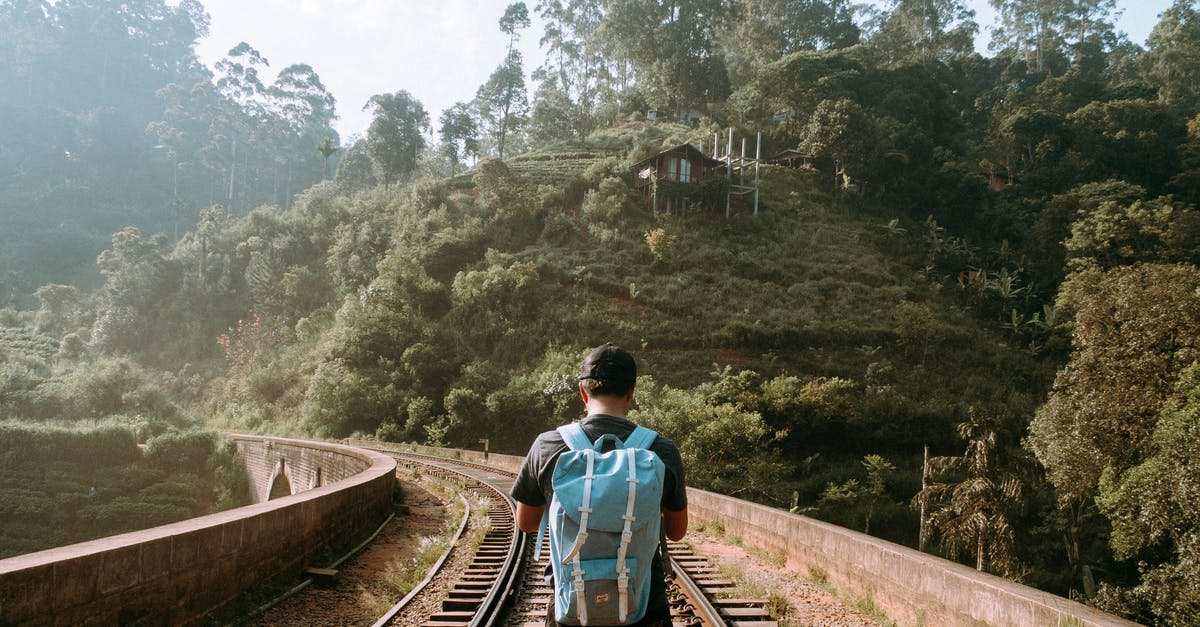 How do I carry parrots on an Indian Railway train? - Back View Photo of Man Standing in the Middle of a Train Track How do I carry parrots on an Indian Railway train? - Back View Photo of Man Standing in the Middle of a Train Track