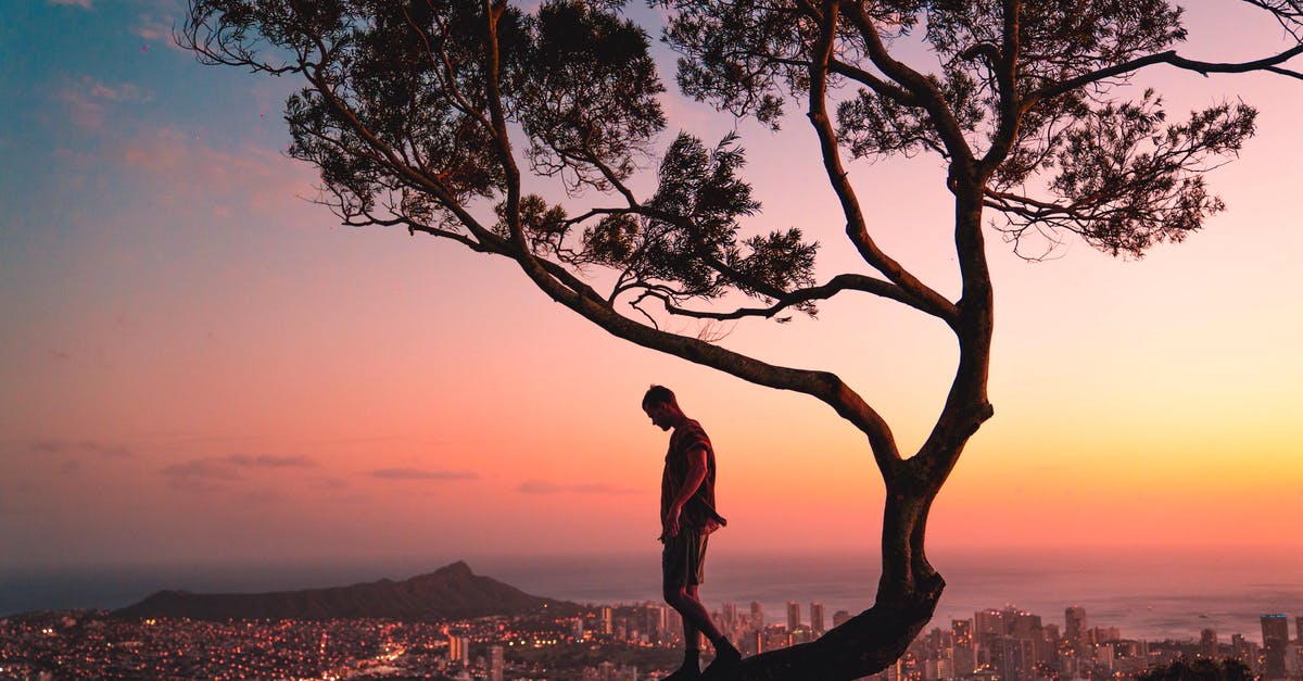 How do I create all-inclusive travel packages for a wedding? - Man Standing on Tree Branch during Sunset How do I create all-inclusive travel packages for a wedding? - Man Standing on Tree Branch during Sunset
