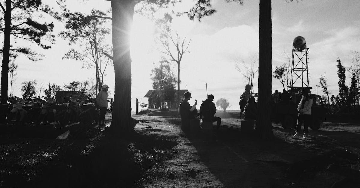 How do I know if it's safe to travel to a country at a specific time? - Black and white of anonymous travelers wearing casual outfits pastime together in park near trees How do I know if it's safe to travel to a country at a specific time? - Black and white of anonymous travelers wearing casual outfits pastime together in park near trees