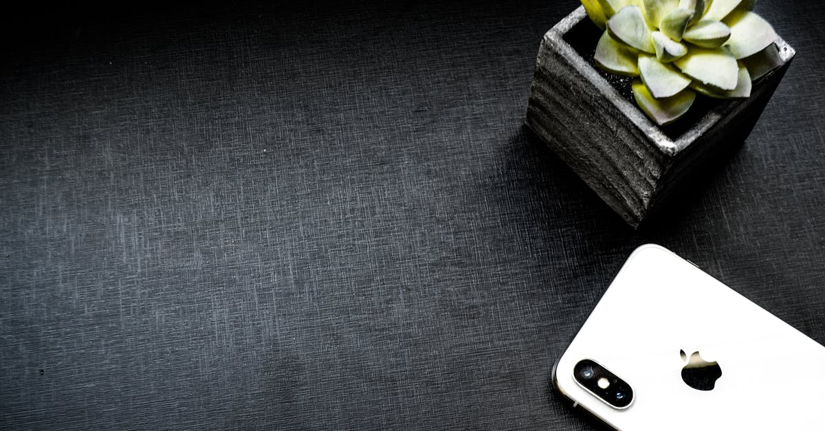 How do I recognize a scam website? - Silver Iphone X Beside Succulent Plant How do I recognize a scam website? - Silver Iphone X Beside Succulent Plant