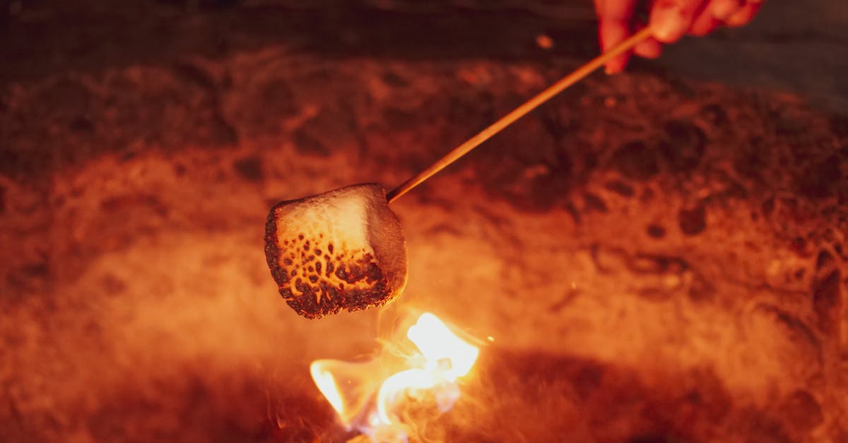 How do I roast a marshmallow over lava in Iceland? - Person Roasting Marshmallow How do I roast a marshmallow over lava in Iceland? - Person Roasting Marshmallow