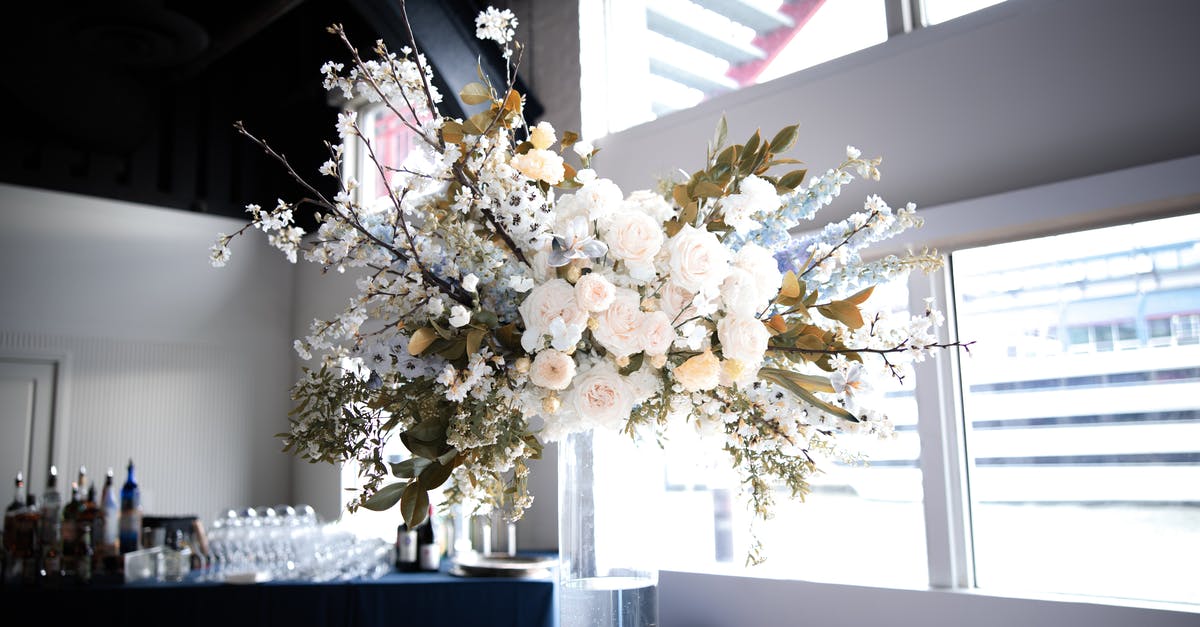 How do i verify my Australia visit visa either valid or not without reference number [duplicate] - White Flower Bouquet on Table
