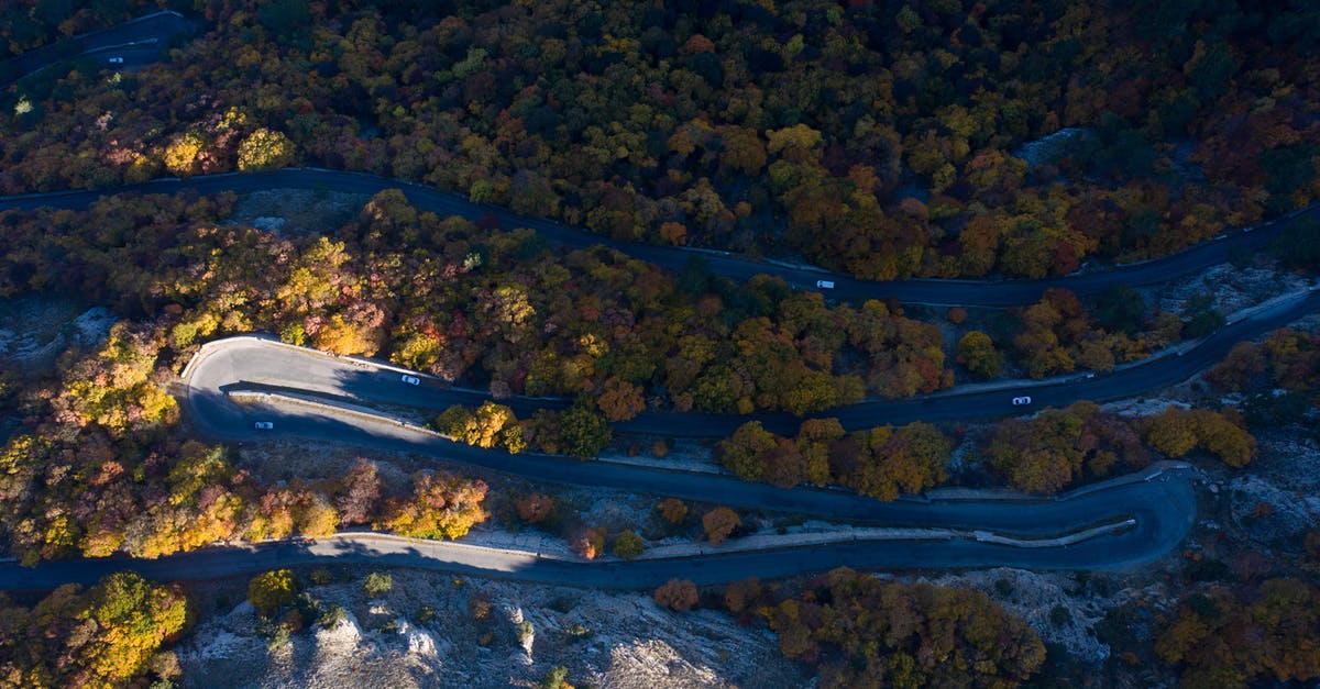 How do the authorities know whether someone reaches a country? - Aerial View of Green Trees on White Sand