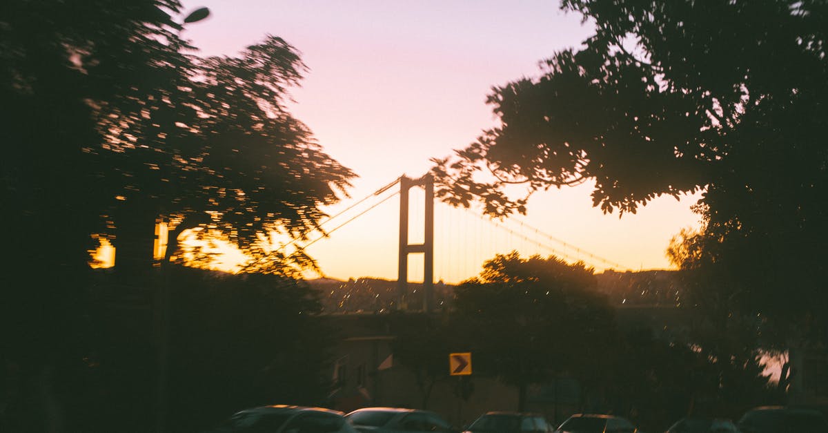 How easy to take the car in Schengen Area - Defocused view of cars parked on asphalt road near green trees against bridge at night How easy to take the car in Schengen Area - Defocused view of cars parked on asphalt road near green trees against bridge at night