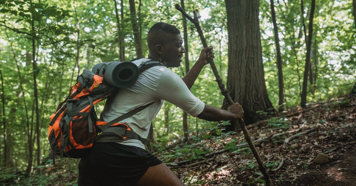 How easy/hard is it to backpack to Taiwan knowing only English? - Side view of black young man with backpack climbing with tree branch among green woods on sunny summer day How easy/hard is it to backpack to Taiwan knowing only English? - Side view of black young man with backpack climbing with tree branch among green woods on sunny summer day