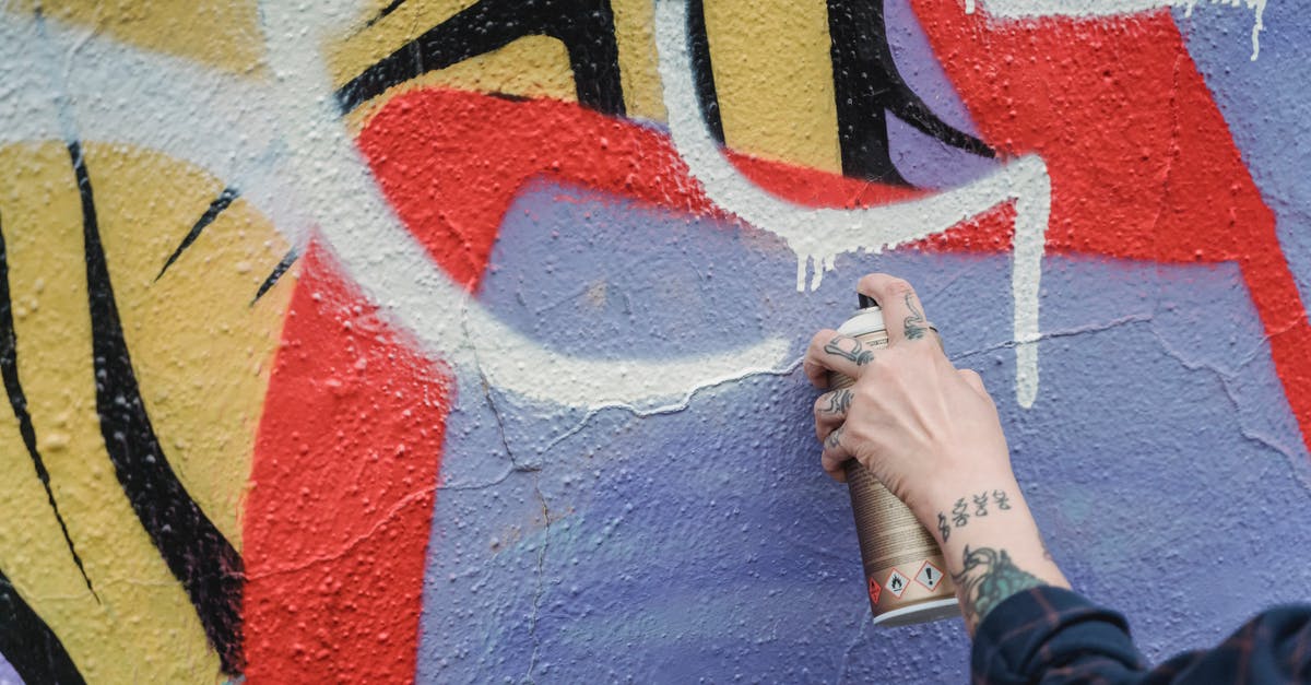 How far in advance can I apply for a B2 visa? - Hand of crop anonymous tattooed person spraying white paint from can on colorful wall while standing on street of city