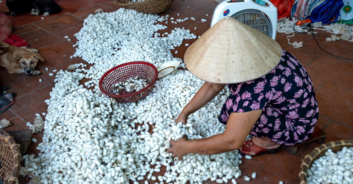 How is the Hawaii agricultural declaration form supposed to work? - From above of full body of anonymous female artisan in conical Asian straw hat sorting pile of white cocoons of silkworms for weaving while working How is the Hawaii agricultural declaration form supposed to work? - From above of full body of anonymous female artisan in conical Asian straw hat sorting pile of white cocoons of silkworms for weaving while working