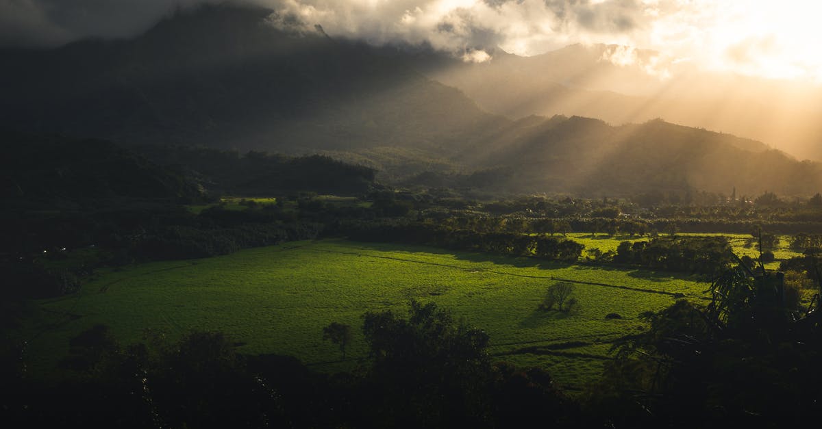 How is the Hawaii agricultural declaration form supposed to work? - Landscape Photography Of Green Grass Field How is the Hawaii agricultural declaration form supposed to work? - Landscape Photography Of Green Grass Field