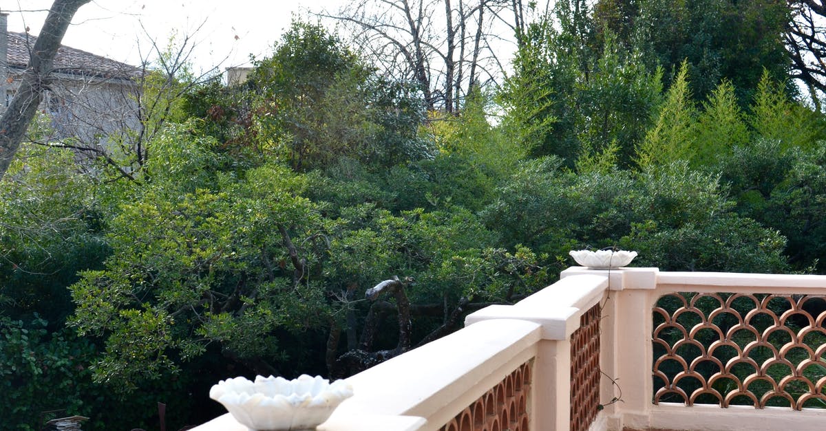 How late are Canadian parks open in fall? - Picturesque view of tall green lush trees growing in yard from open white stone balcony in city How late are Canadian parks open in fall? - Picturesque view of tall green lush trees growing in yard from open white stone balcony in city