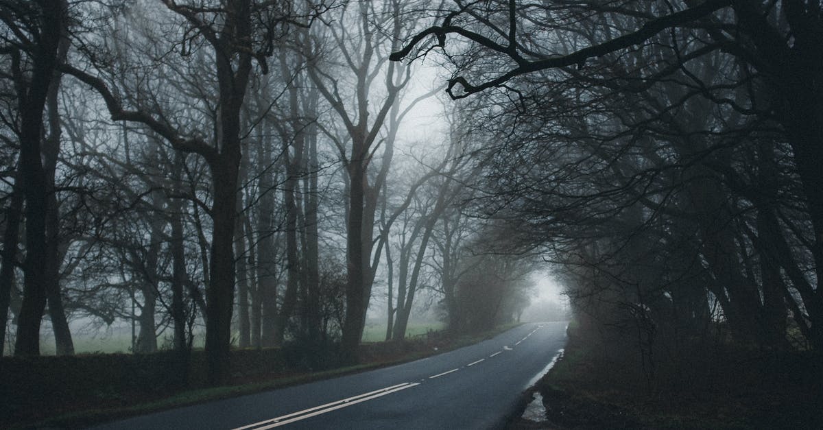 How long can a citizen of Iran stay in Georgia (the country) as a tourist? - Asphalt Road Between Tall Trees How long can a citizen of Iran stay in Georgia (the country) as a tourist? - Asphalt Road Between Tall Trees