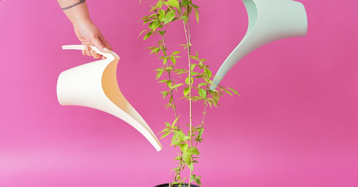 How long can I stay in Finland? [duplicate] - People Holding Long Spout Plastic Watering Cans