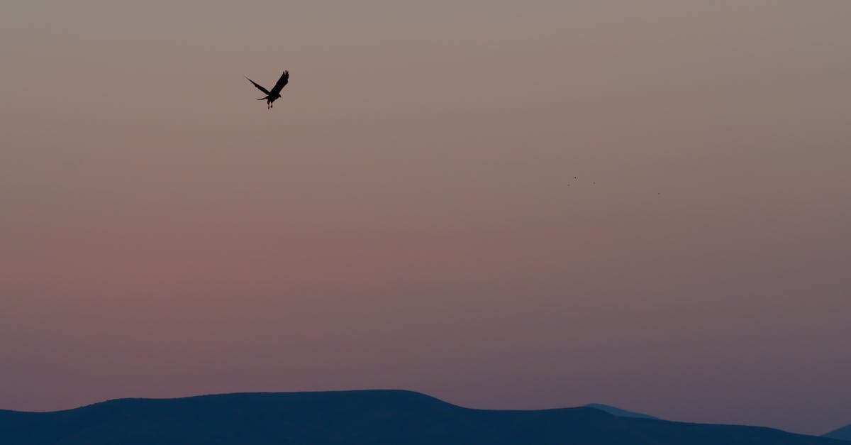 How long do I need from landing in Zurich to get to a connecting flight to Dublin? - Bird flying over mountains at sunset