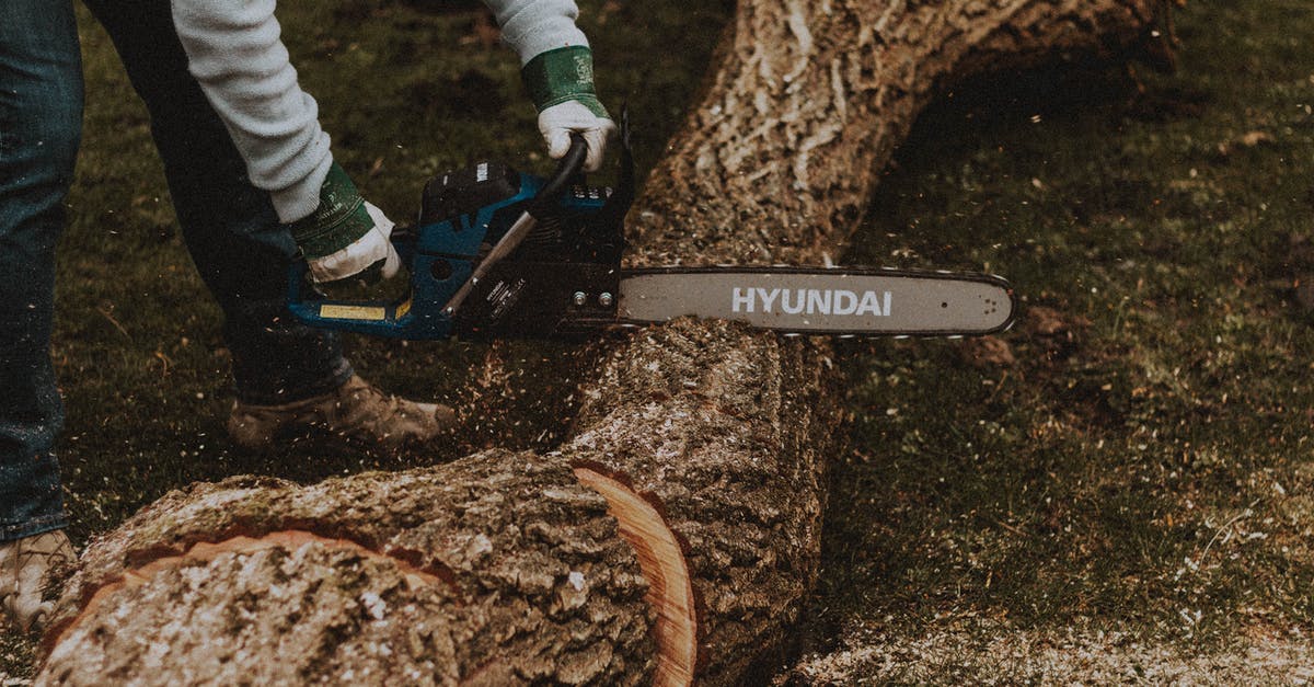 How long does it take for Ireland to process a work permit and entry permit? [closed] - Crop worker sawing tree trunk
