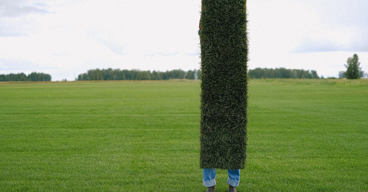 How long does it take to renew a US passport? - Unrecognizable farmer with grass lawn How long does it take to renew a US passport? - Unrecognizable farmer with grass lawn