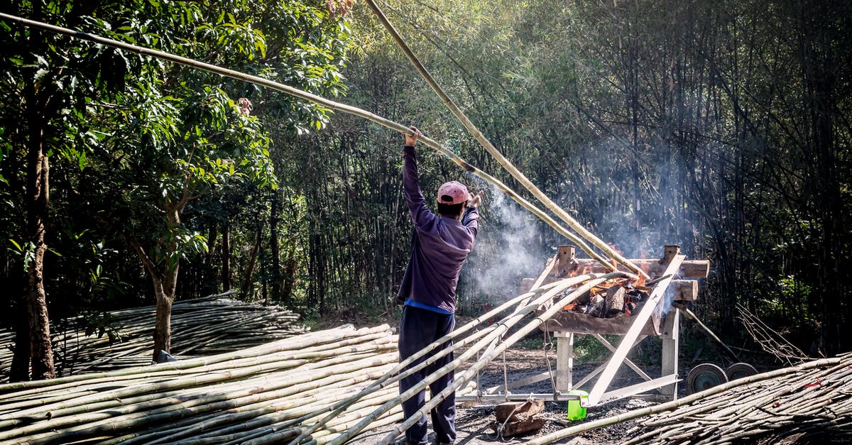 How long is the customs process in Indira Gandhi International Airport? - Back view of anonymous male worker in casual wear standing near pile of bamboo sticks while drying thin long trunks in wooden construction with fire smoke near green trees How long is the customs process in Indira Gandhi International Airport? - Back view of anonymous male worker in casual wear standing near pile of bamboo sticks while drying thin long trunks in wooden construction with fire smoke near green trees