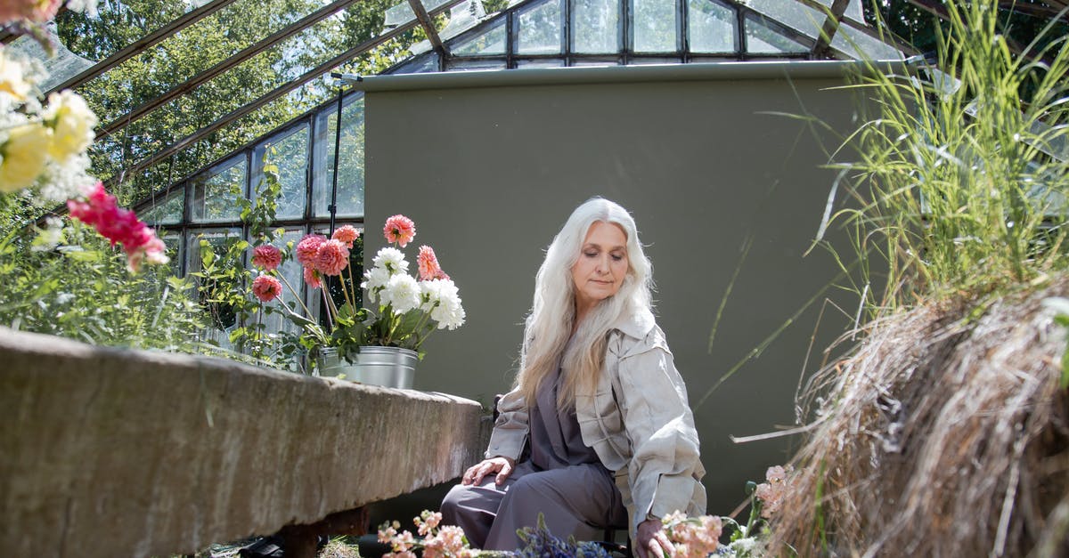 How long should I keep my old passport? - A Woman Sitting and Looking Down on Peach and White Flowers How long should I keep my old passport? - A Woman Sitting and Looking Down on Peach and White Flowers