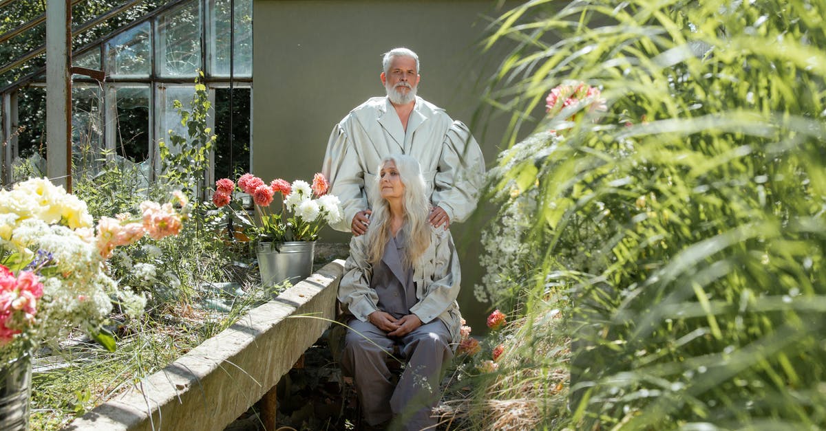 How long should I keep my old passport? - An Elderly Couple Sitting and Standing Near Tin Pots of Flowers How long should I keep my old passport? - An Elderly Couple Sitting and Standing Near Tin Pots of Flowers