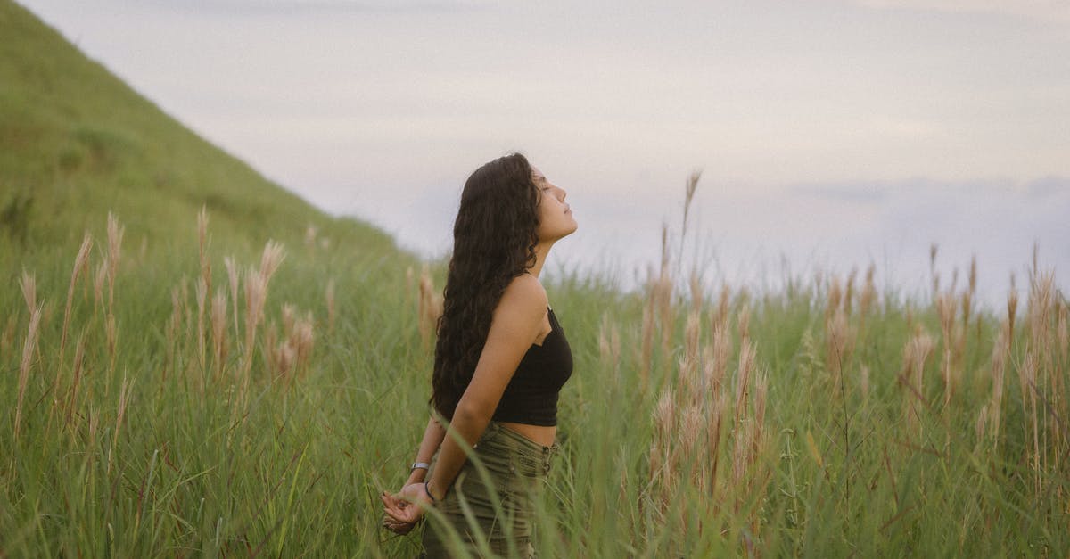 How long will my Schengen visa be valid for? - Girl with Long Brown Hair Standing in Grassland How long will my Schengen visa be valid for? - Girl with Long Brown Hair Standing in Grassland