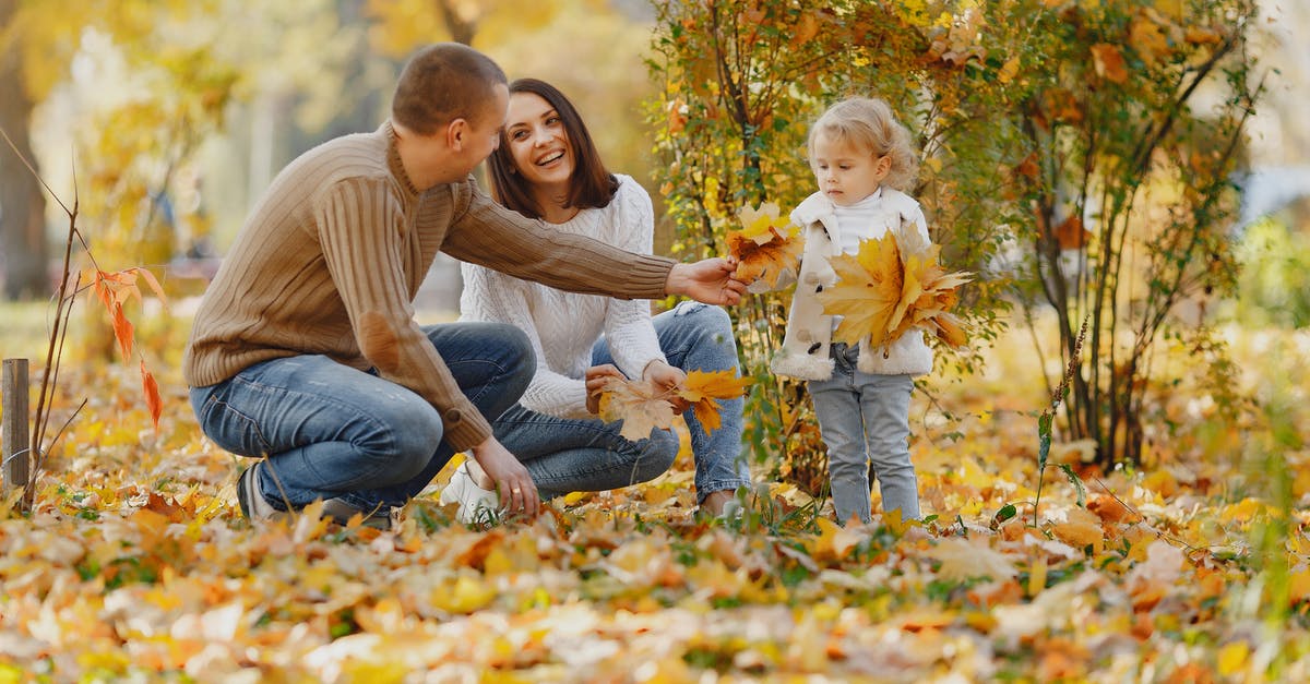 How practical is it to take a Collectivo to Xel'Ha park? - Cheerful adult parents sitting on ground with fallen leaves in autumn park near adorable little girl with bouquets of yellow maple leaves How practical is it to take a Collectivo to Xel'Ha park? - Cheerful adult parents sitting on ground with fallen leaves in autumn park near adorable little girl with bouquets of yellow maple leaves